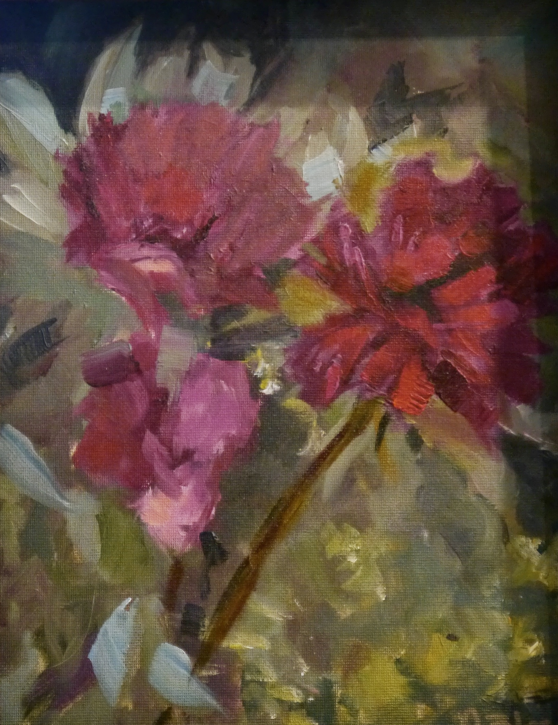 P1020081